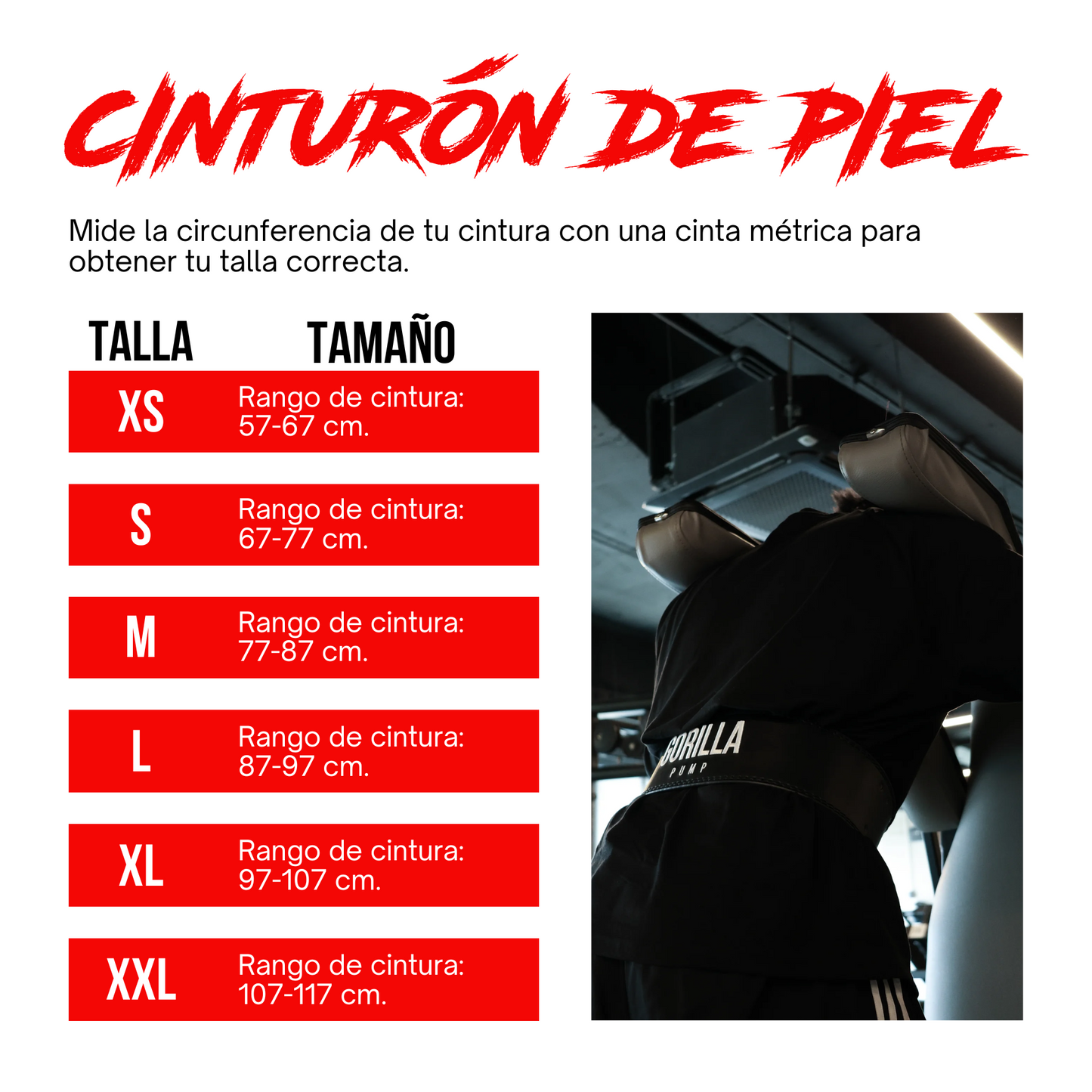CINTURÓN DE PIEL GORILLA PUMP
